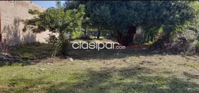 Terreno de 360 m2. en Capiatá, Quinta Compañia, foto 2