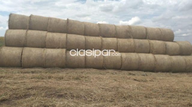 En venta excelente establecimiento ganadero/ agricola