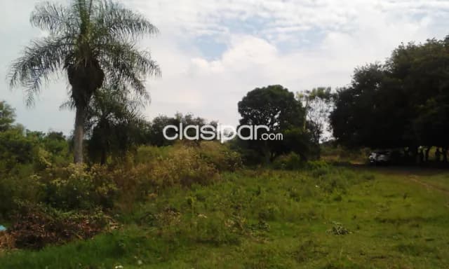 🌾 oportunidad de inversión: 5 hectáreas en quiindy, foto 3