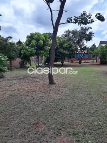Terreno de 12x30mts en Moracue Luque, foto 3