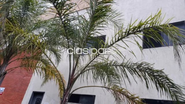 S/ transchaco: 1.000m2 p/ deposito, salón comercial, oficinas, etc. – 22.000.000 gs, foto 2