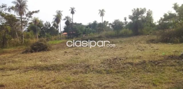 2 hermosos terrenos en Luque-Ita Angua — foto 3