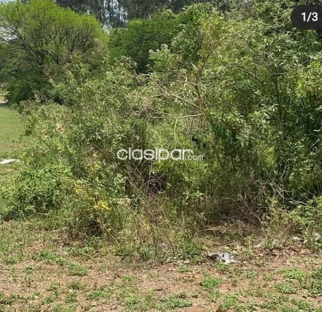 terrenos en la ciudad veraniega San Bernardino — foto 5