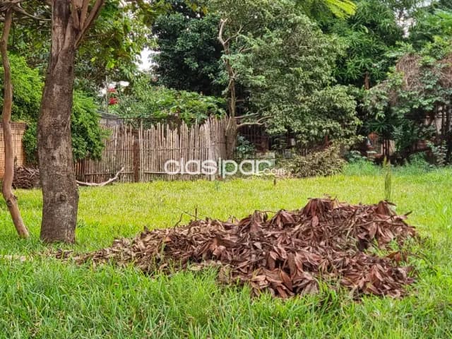 Terreno en Minga Guazu km18 — foto 5