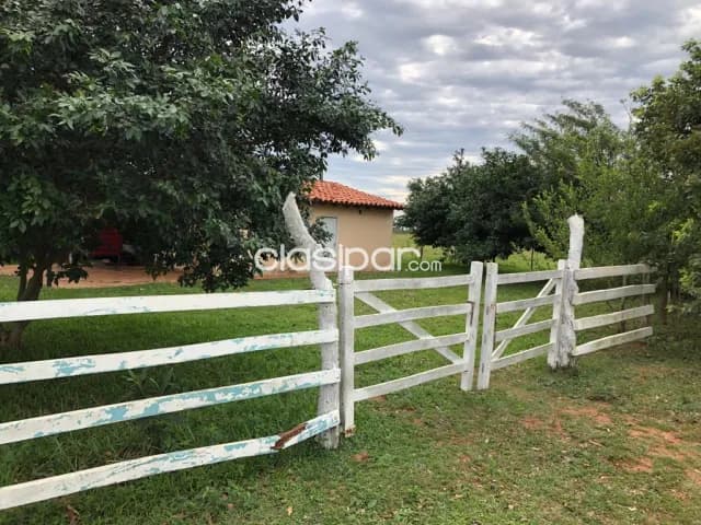 Misiones: Ideal p/ cerdos, crianza, usos múltiples, ubicación ideal, s/ ruta asfaltada, foto 3