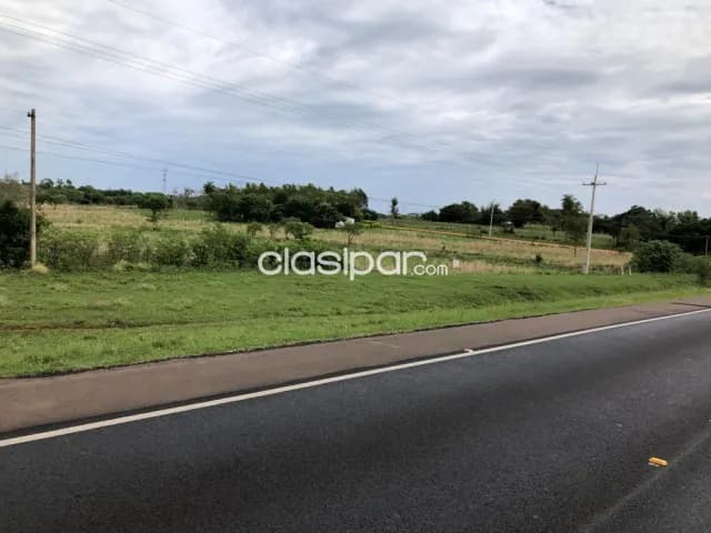 Misiones: Ideal p/ cerdos, crianza, usos múltiples, ubicación ideal, s/ ruta asfaltada, foto 4