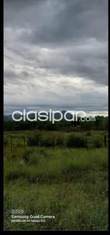 Carapeguá – acahay: 100 hectáreas desmembrables, documentación en regla, p/ granjas, foto 2