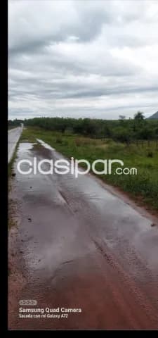 Carapeguá – acahay: 100 hectáreas desmembrables, documentación en regla, p/ granjas, foto 4