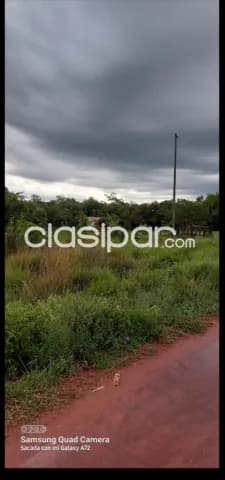 Carapeguá – acahay: 100 hectáreas desmembrables, documentación en regla, p/ granjas, foto 5
