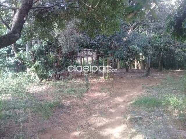 Emboscada: 8 has, granja p/ criaderos varios, oportunidad!! 1.100.000.000 gs