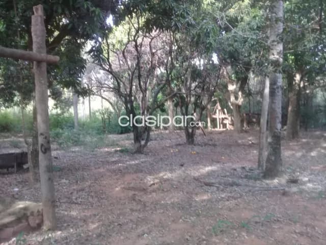 Emboscada: 8 has, granja p/ criaderos varios, oportunidad!! 1.100.000.000 gs — foto 3