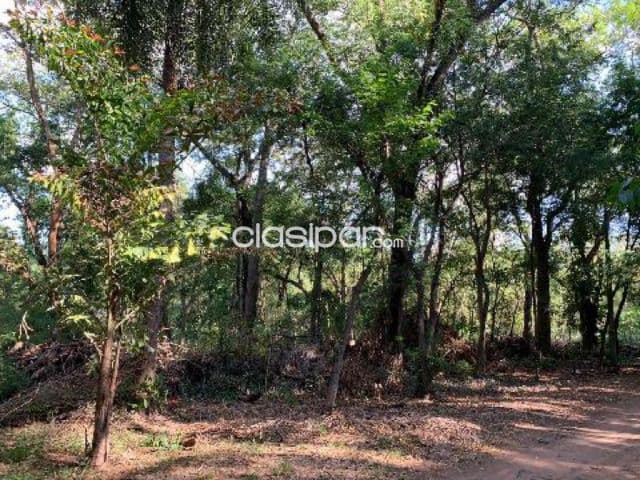 Surubii zona arbolada 2.000 m2 Hollywood