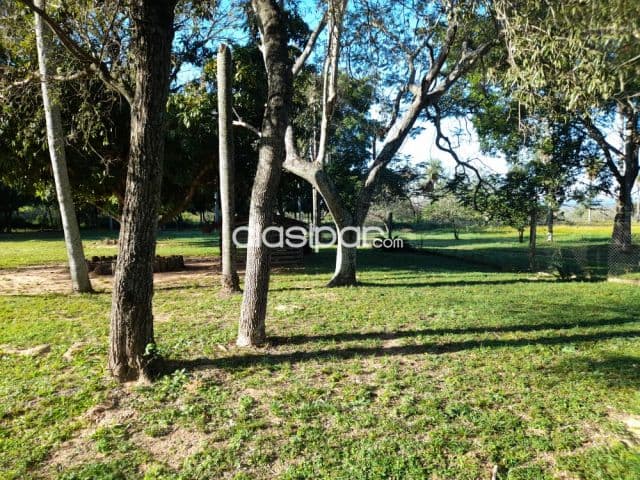 Campo Ganadero/Varios en Arroyos y Esteros - 153 Ha — foto 1