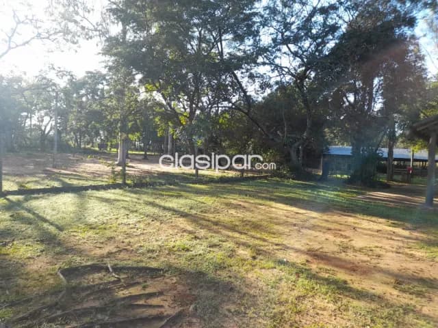 Campo Ganadero/Varios en Arroyos y Esteros - 153 Ha — foto 4
