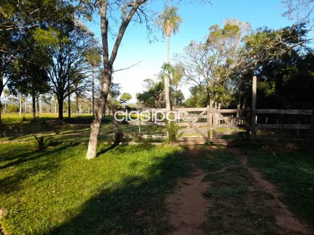 Campo Ganadero/Varios en Arroyos y Esteros - 153 Ha — foto 5