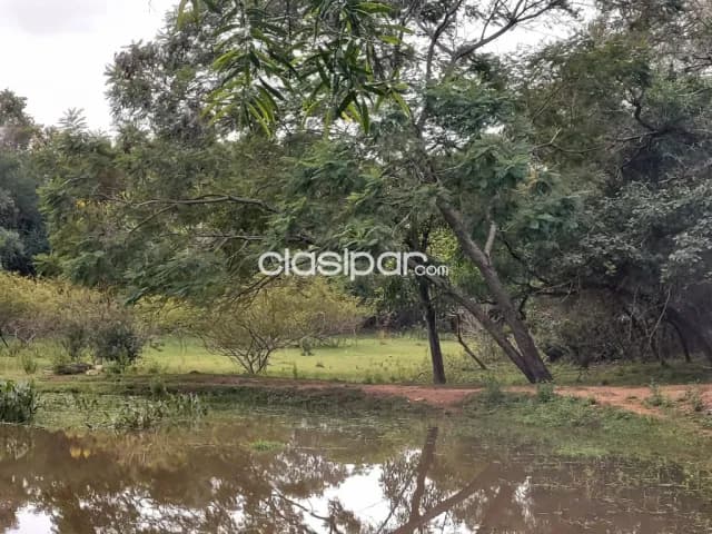 Emboscada – minas: 7 has, granja p/ explotación, porcina, vacuna etc. 1.000.000.000 gs — foto 3