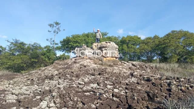 Valenzuela – cordillera: Hermosas 13 has, c/ arroyo, p/ ganadadería, agricultura, foto 5