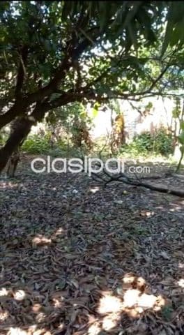 En venta importante terreno sobre ruta San Lorenzo - Ñemby