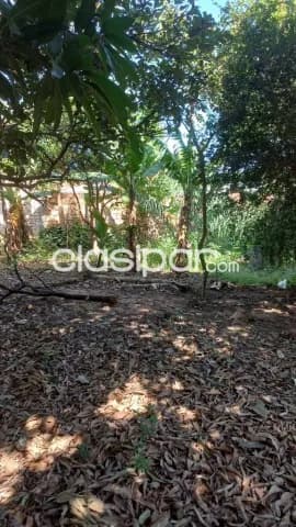 En venta importante terreno sobre ruta San Lorenzo - Ñemby, foto 3