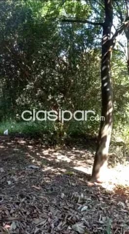 En venta importante terreno sobre ruta San Lorenzo - Ñemby, foto 5