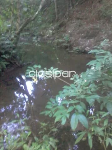 Col. Independencia – guaira: 10has, ideales p/ agricultura y crianza animales, foto 5