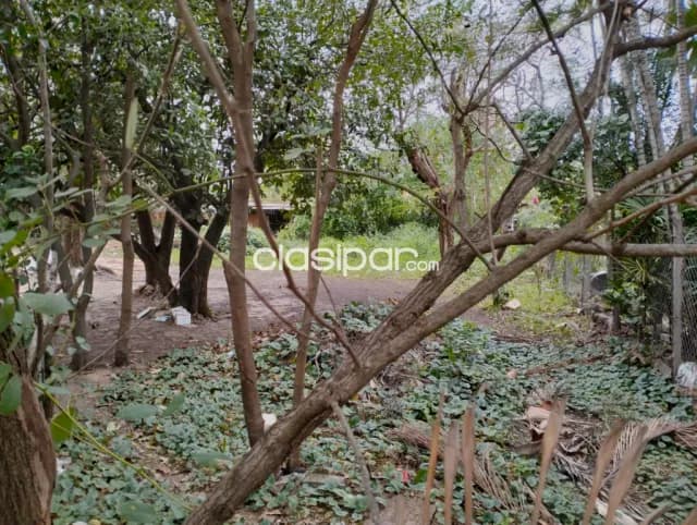 Hermoso terreno en la ciudad de Limpio, foto 3