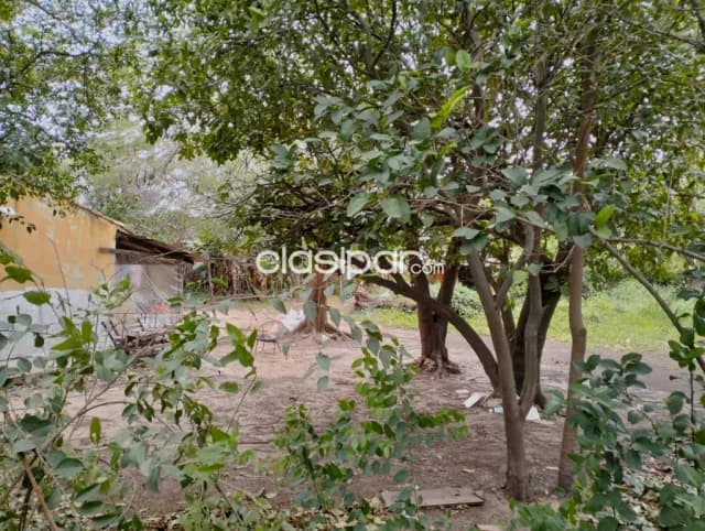 Hermoso terreno en la ciudad de Limpio, foto 5