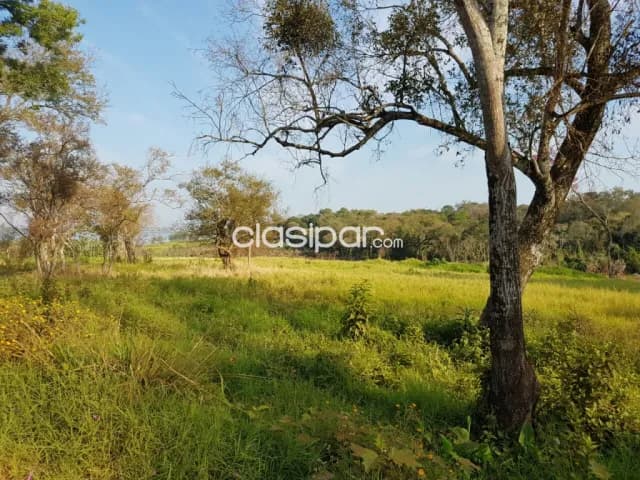 Terreno en Encarnación cerca de la Costanera - 4 Ha — foto 4