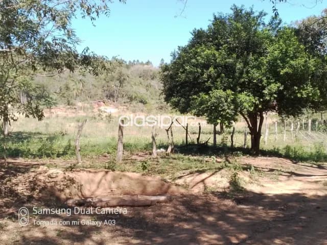 13 ha.entre Emboscada y Nueva Colombia — foto 3