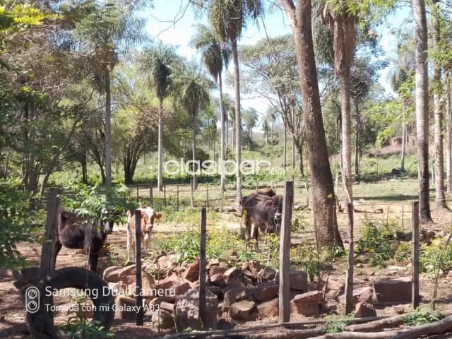 13 ha.entre Emboscada y Nueva Colombia — foto 4