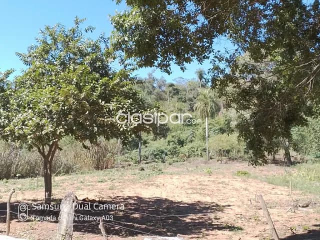 13 ha.entre Emboscada y Nueva Colombia — foto 5