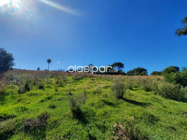 Col. Independencia (vista alegre): 17 has, arroyos, bosques, pasturas, ideal p/ ganadería, foto 3