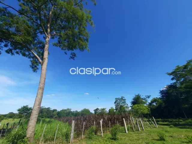 Col. Independencia (vista alegre): 17 has, arroyos, bosques, pasturas, ideal p/ ganadería, foto 4
