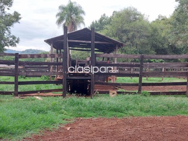 Col. Independencia (joberé): 50 has, arroyos, monte natural, ideal p/ agricultura, ganader