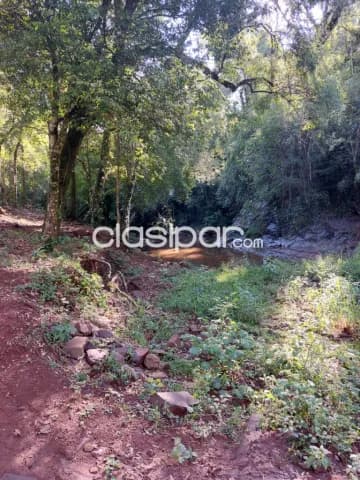 Col. Independencia (joberé): 50 has, arroyos, monte natural, ideal p/ agricultura, ganader, foto 4