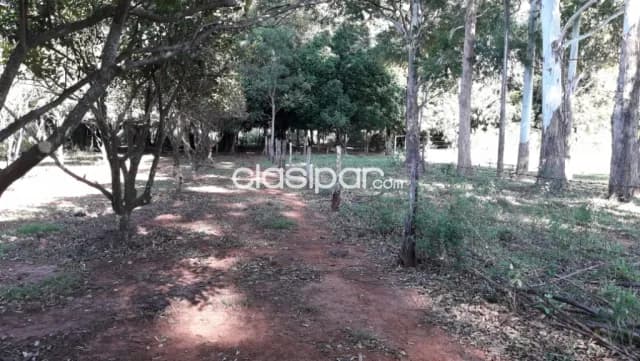 Granja en General Delgado - 4 Ha, foto 3