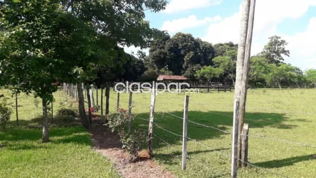 Granja en General Delgado - 4 Ha, foto 4