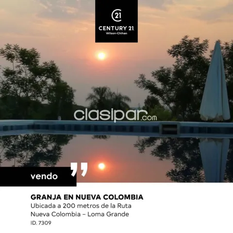 Nva. Colombia – loma grande: 9,7 has, impecable granja, bosques + pastura + residencia — foto 3