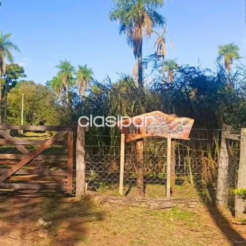 Nva. Colombia – loma grande: 9,7 has, impecable granja, bosques + pastura + residencia — foto 4