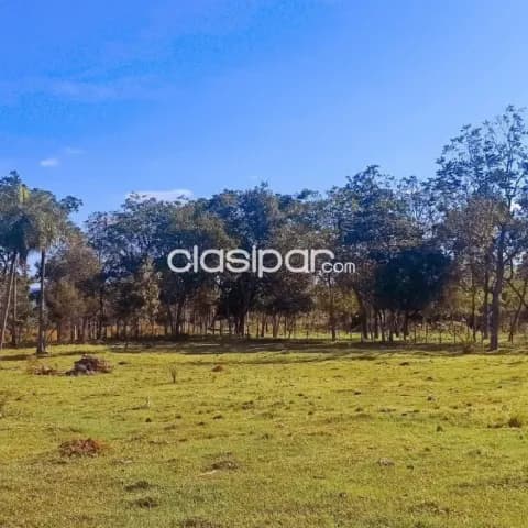 Nva. Colombia – loma grande: 9,7 has, impecable granja, bosques + pastura + residencia — foto 5