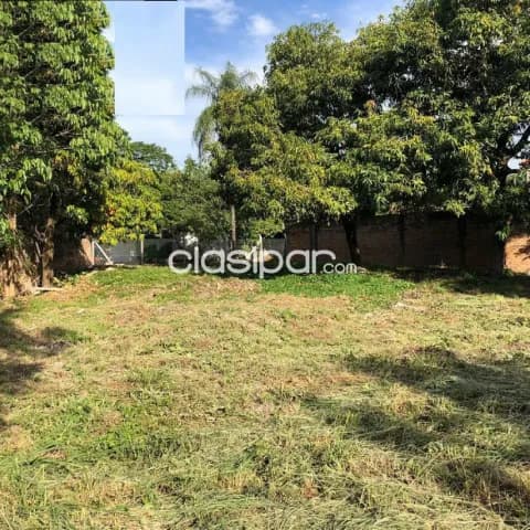 Sma. Trinidad – artigas: 580 m2 en venta p/ residencial, renta, etc, 185.000 usd — foto 3