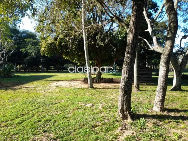 Oferta de terteno de 155 ha.en Arroyo y Estero, foto 5