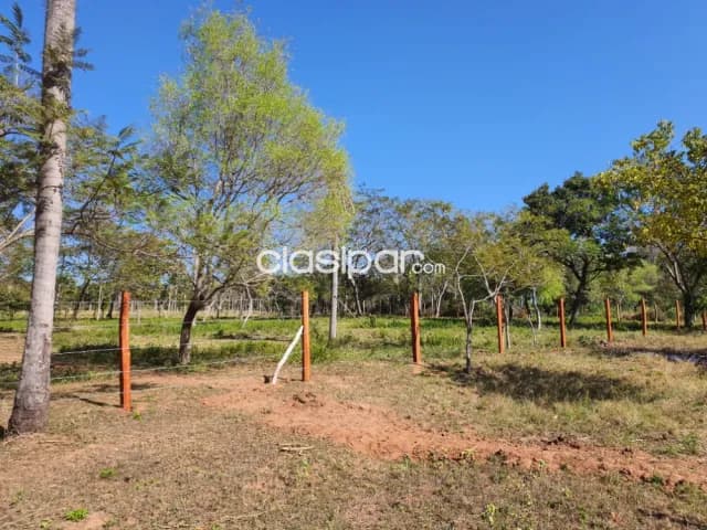 terreno en ciudad Eusebio Ayala Cordillera, foto 3