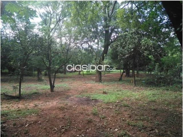 Limpio s/ ruta asfaltada: 2,1 has ideales p/ desarrollos constructivos, inmobiliarios, foto 5
