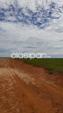 Caaguazú – bella vista – curuguaty: 24.000 has expansibles, mecanizada, reserva natural