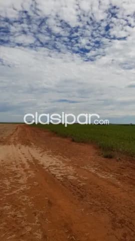 Caaguazú – bella vista – curuguaty: 24.000 has expansibles, mecanizada, reserva natural — foto 2
