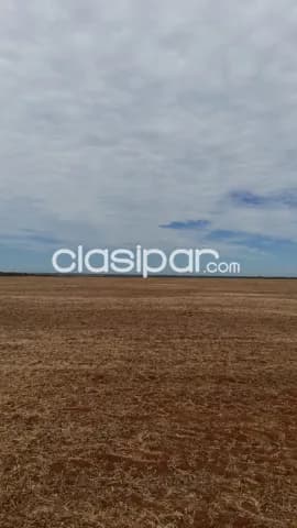Caaguazú – bella vista – curuguaty: 24.000 has expansibles, mecanizada, reserva natural — foto 3