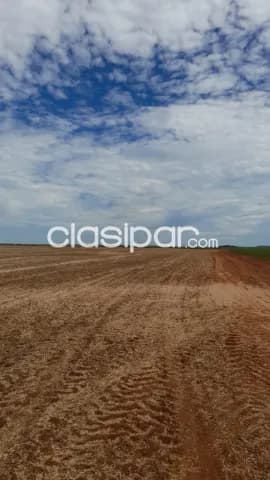 Caaguazú – bella vista – curuguaty: 24.000 has expansibles, mecanizada, reserva natural — foto 4