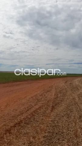 Caaguazú – bella vista – curuguaty: 24.000 has expansibles, mecanizada, reserva natural — foto 5