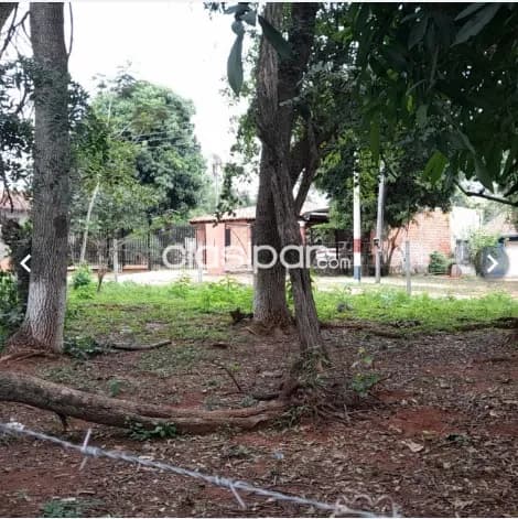 Luque – areguá: 1.572m2, ideales p/ casa quinta, granja, barrios privados, 290.000.000 gs — foto 3